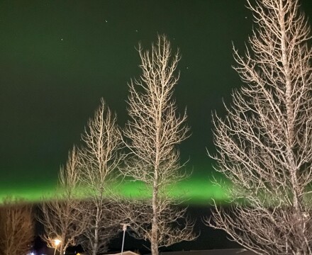 Iceland Trip 2023