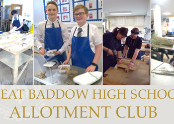 Growing our Allotment Club