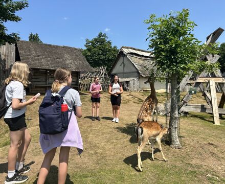 Year 7 mountfitchet castle 4
