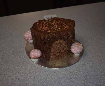 Great Baddow Bake Off Cake
