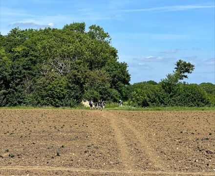 Duke of Edinburgh Practice Expedition